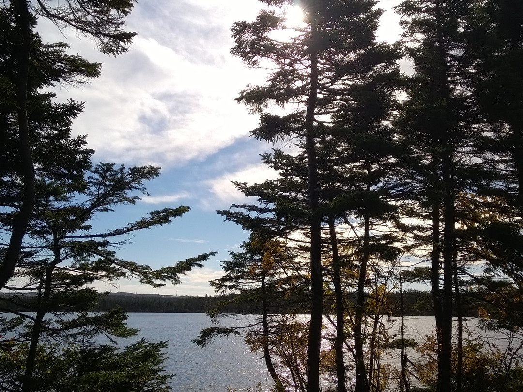 Blue Haven B&B主图