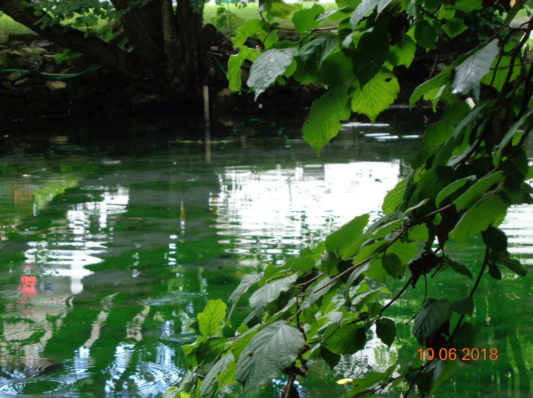 Plochingen旅游攻略图片