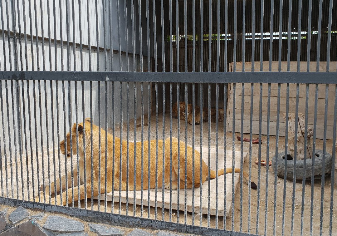 Karaganda State Zoo-加拉干达必去景点