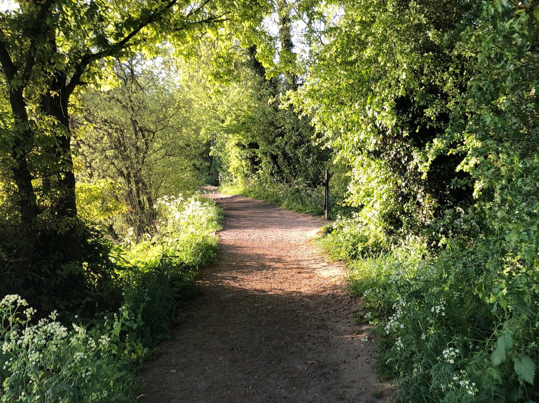 Earlswood Lakes Canalside景点图片