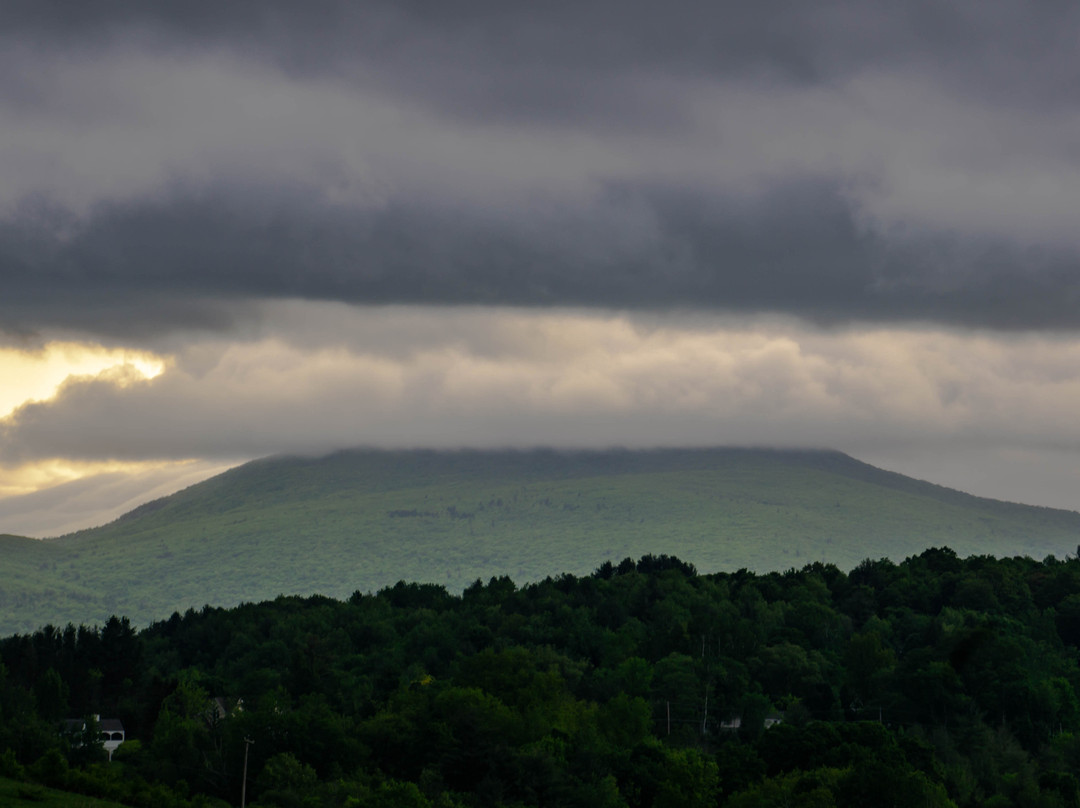 Williamstown Motel主图