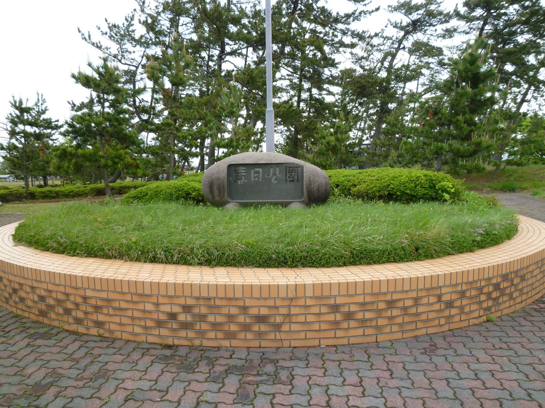 Kasuga Park景点图片