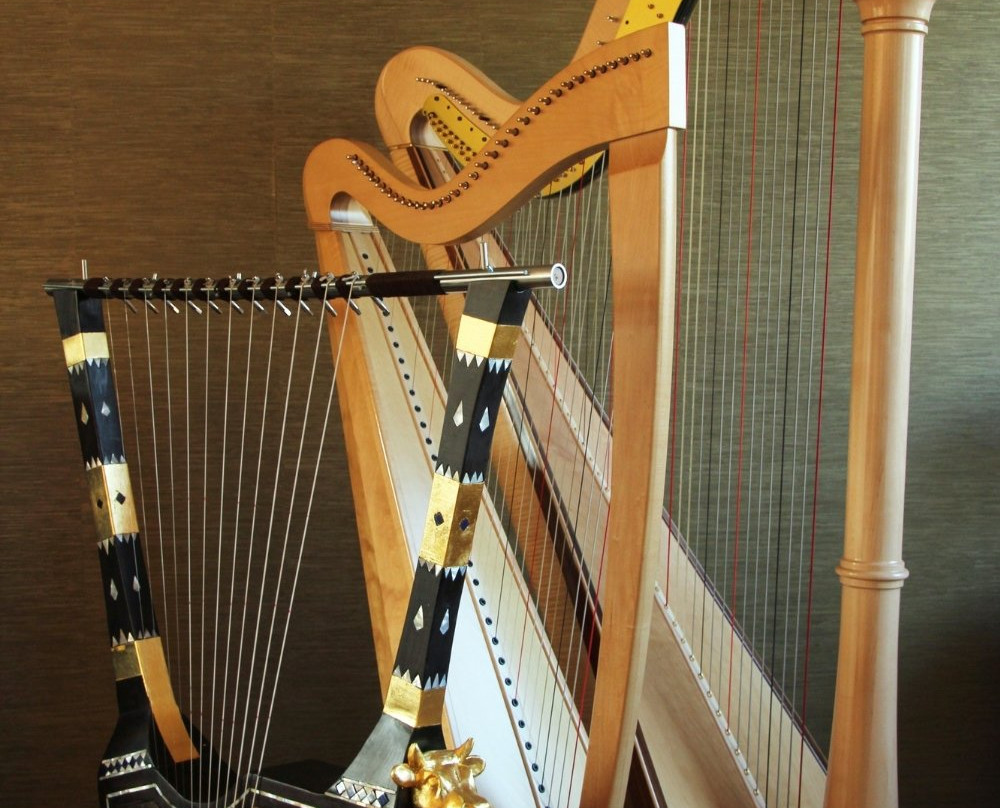 Luc Vanlaere Harpist - Mini Harp Museum景点图片