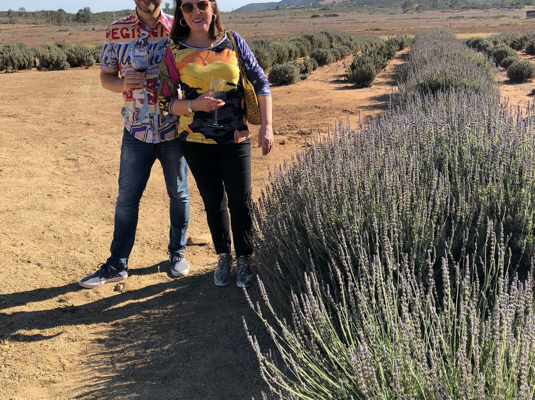 Rancho el Parral主图