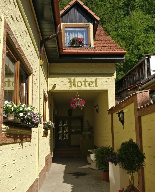 Hotel Restaurant Claudiu主图