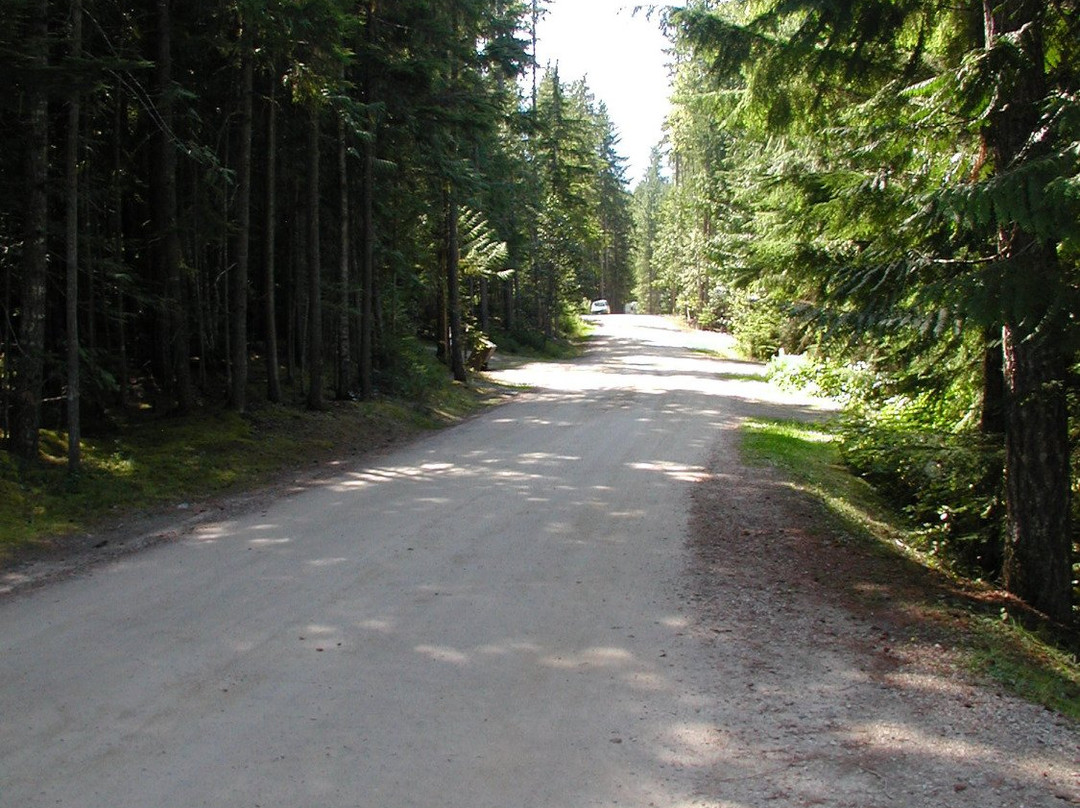 McDonald Creek Provincial Park景点图片