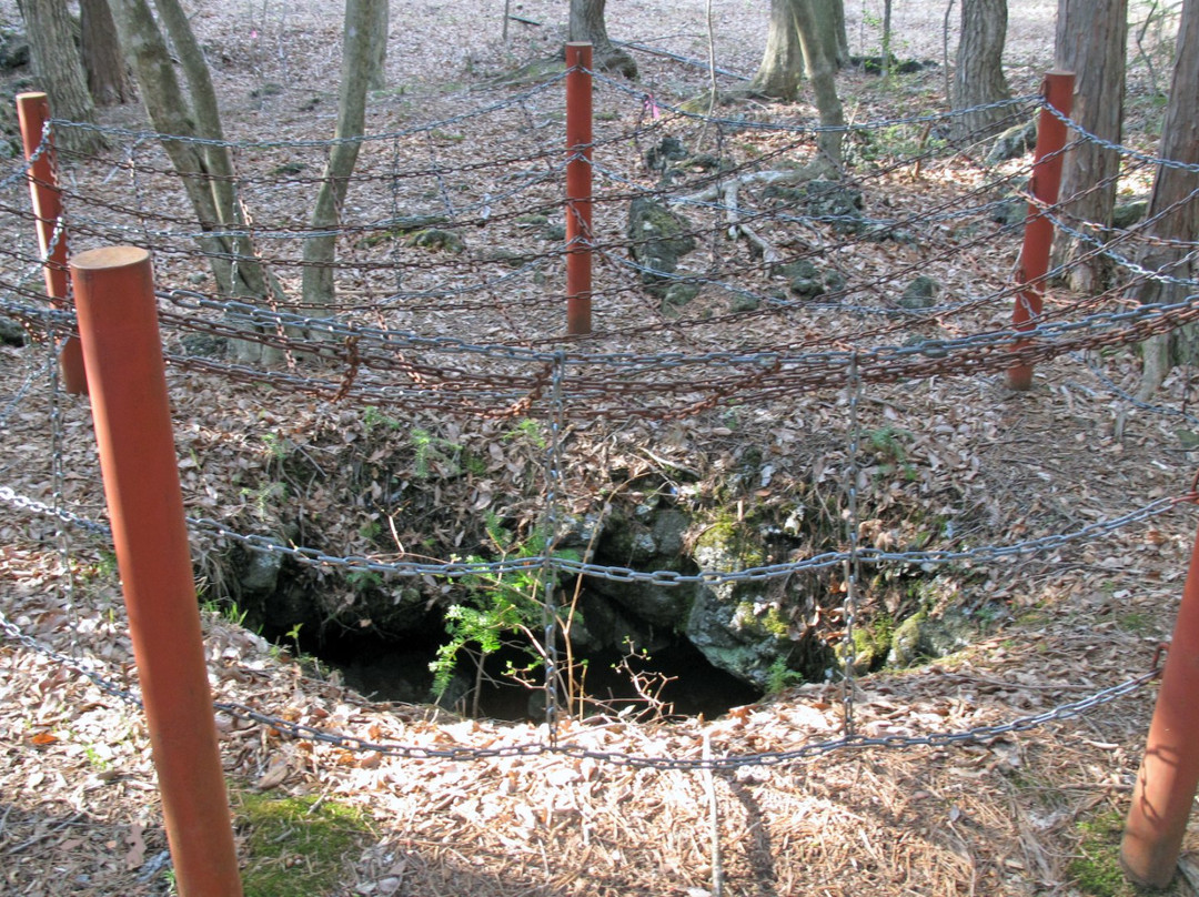 Narusawa's Tree Form Lava景点图片