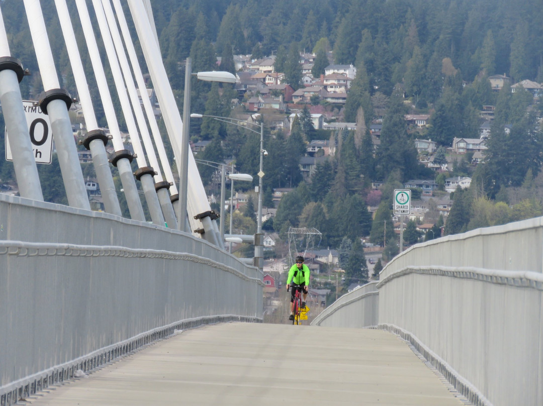 Port Mann Bridge景点图片