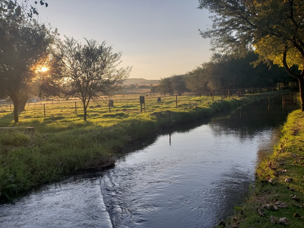 African Olive Country Estate主图