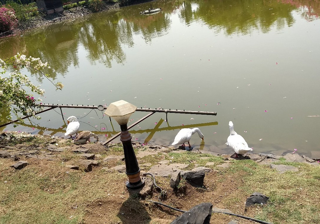 Vanganga Lake Garden-锡尔瓦萨必去景点