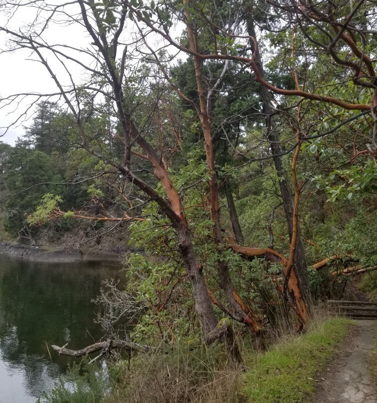 Esquimalt Gorge Park景点图片