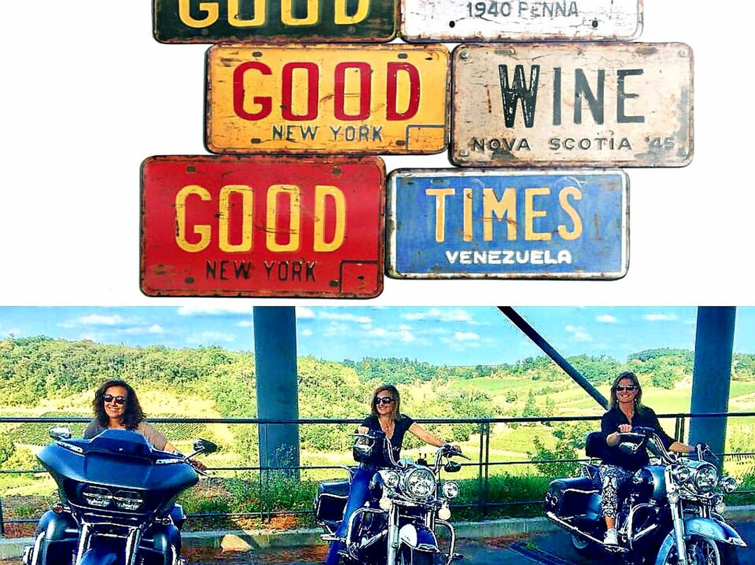 TourOchâteaux-波尔多必去景点