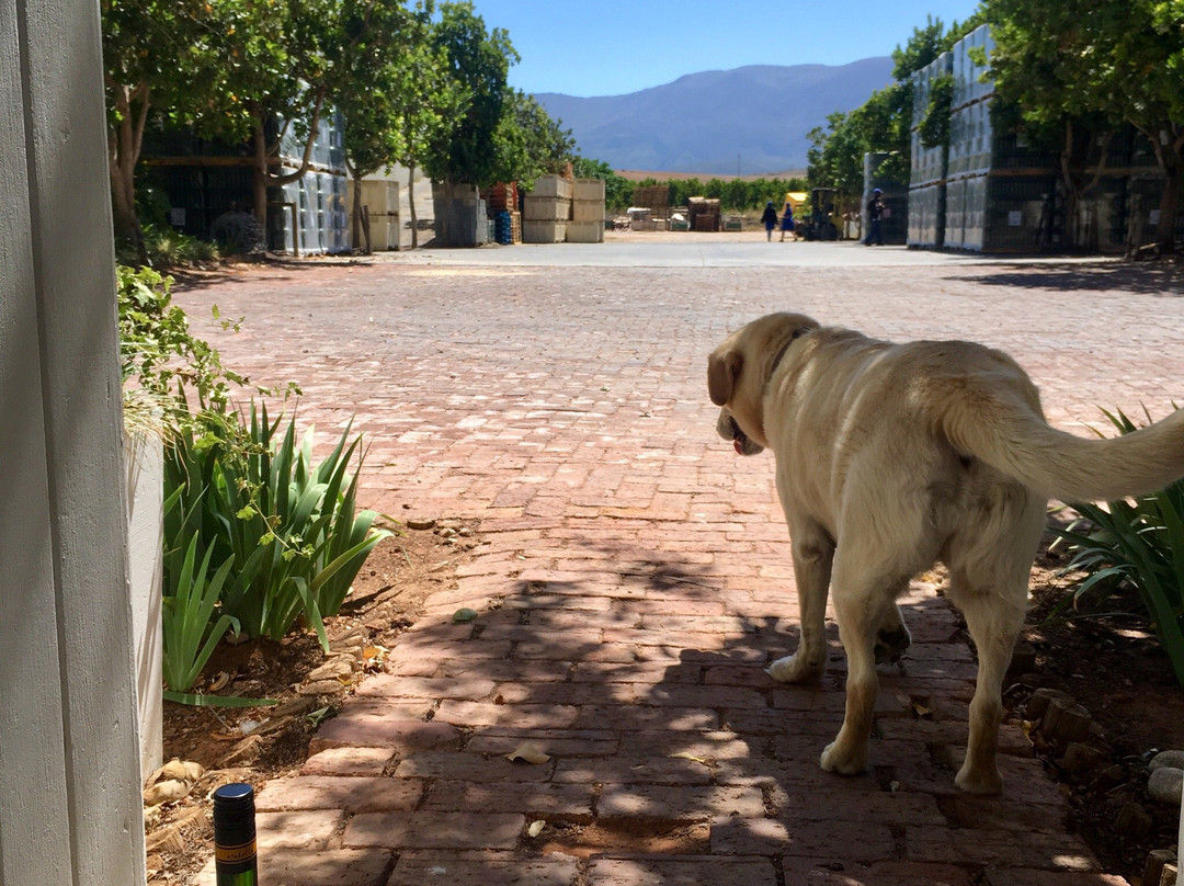 Arabella Wines-Ashton必去景点