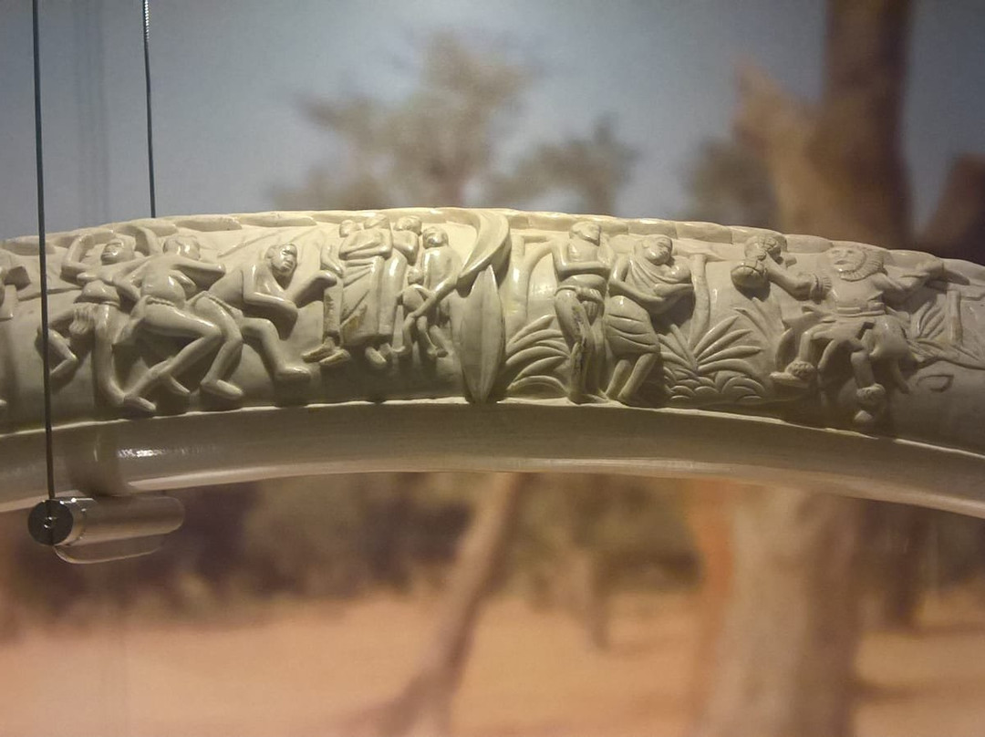 Museo d'Arte Cinese ed Etnografico-帕尔马必去景点