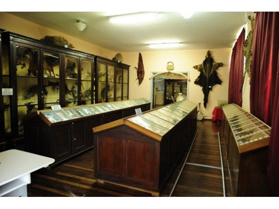 Frei Miguel Museum景点图片
