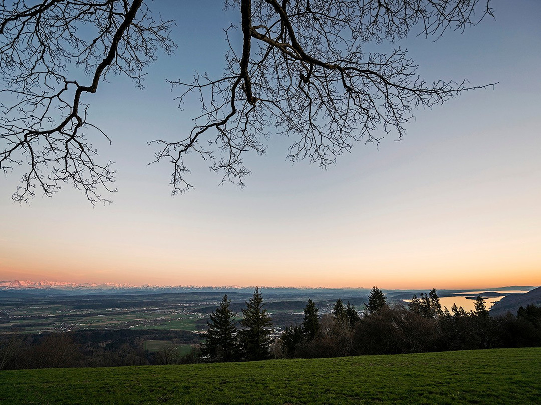 Bozingenberg