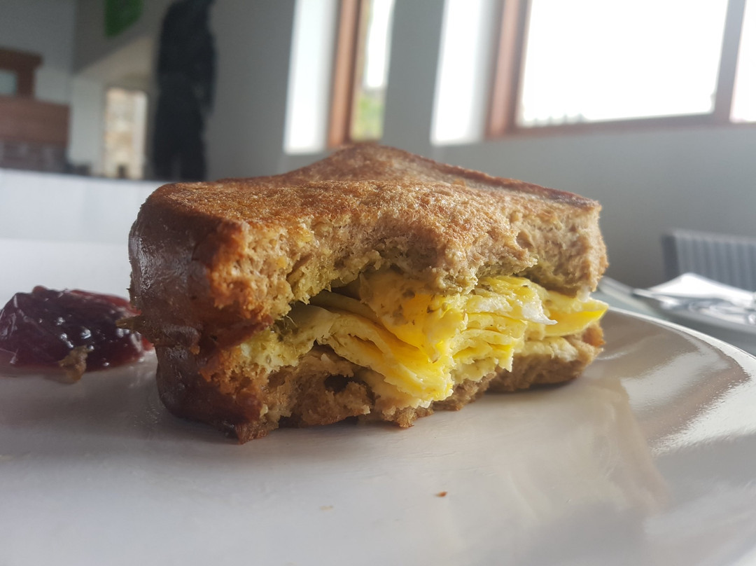 蓝鹦鹉酒店主图