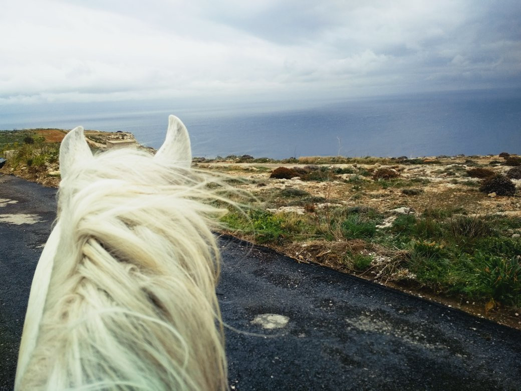 Bidnija Horse Riding-Mosta必去景点