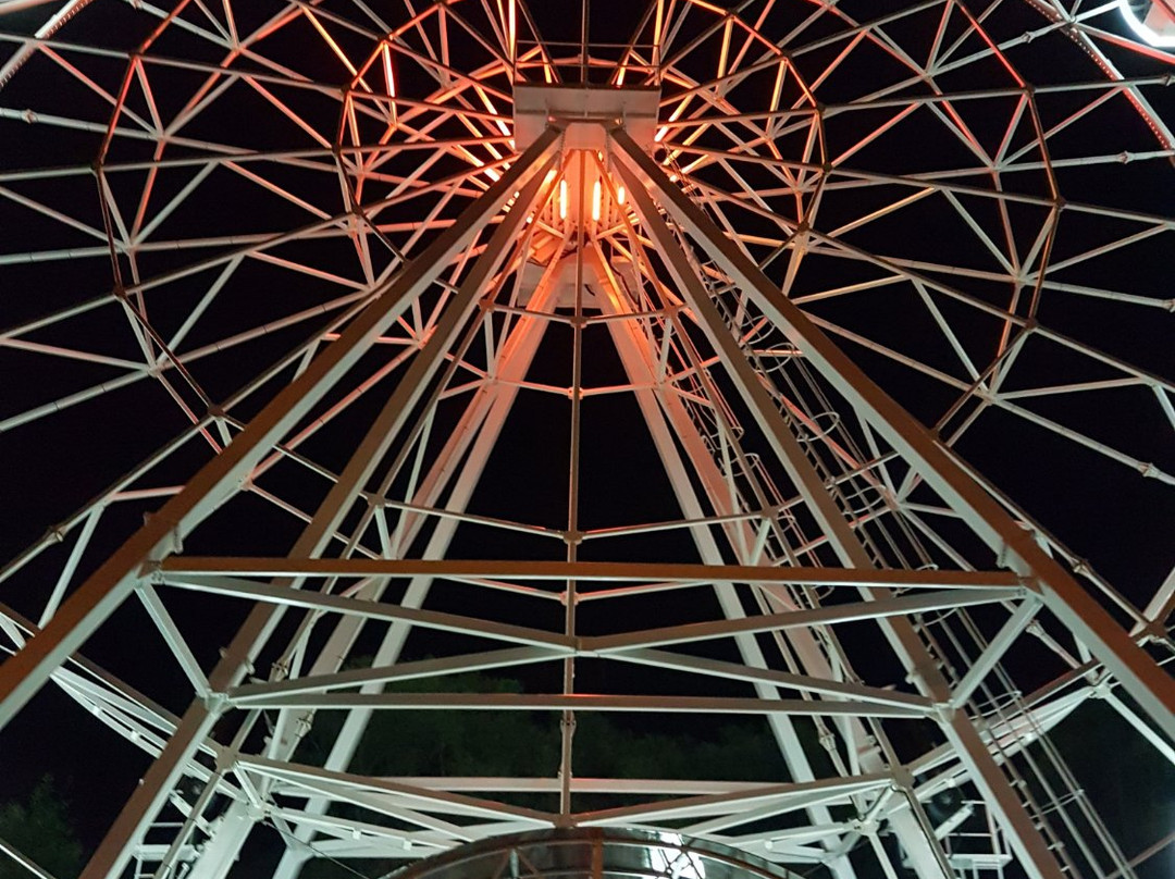 Ferris Wheel景点图片