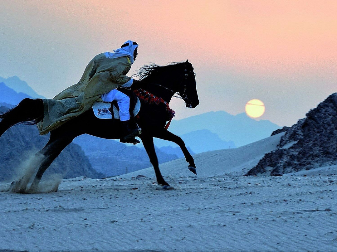 Ride Egypt-赫尔格达必去景点