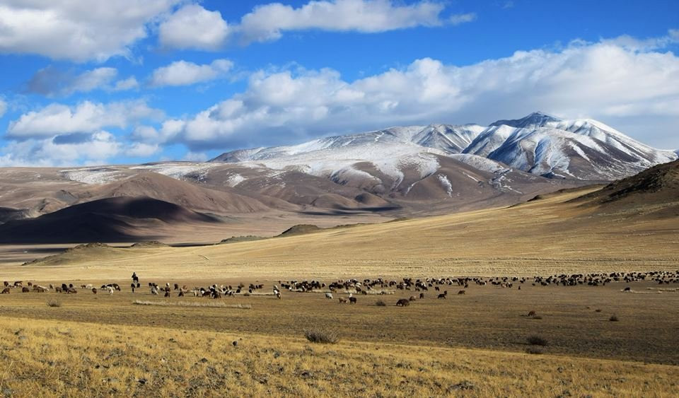 True Mongolia Travel-乌兰巴托必去景点