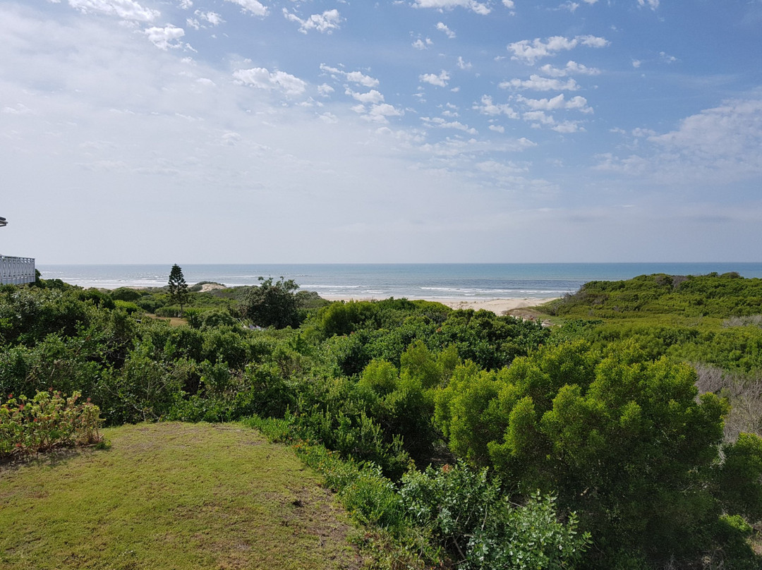 Gaestehaus Saxonia主图