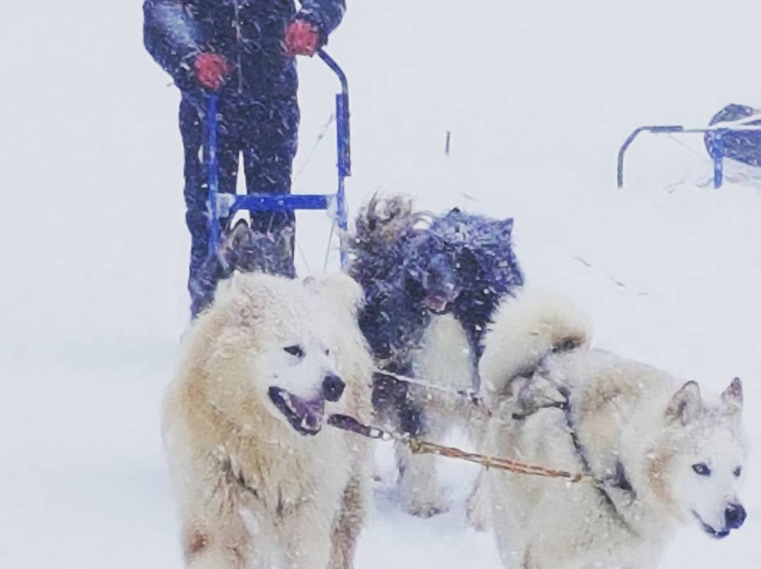 Vinzier旅游攻略图片