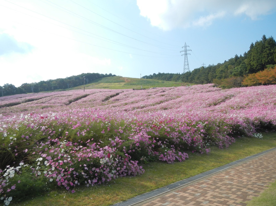 Yumenotaira Ski Resort景点图片
