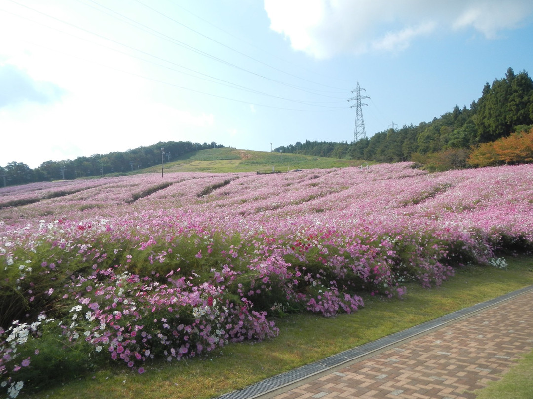 Yumenotaira Ski Resort景点图片