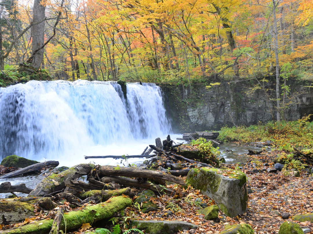 Choshi Otaki Waterfall景点图片
