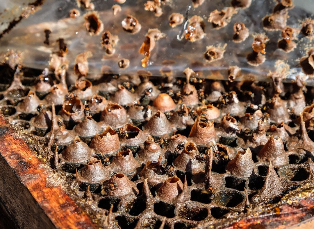 LokaLocal-彼咯必去景点