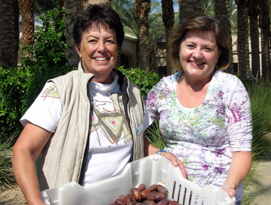 Tallgrass Hiking and Tours-棕榈沙漠必去景点