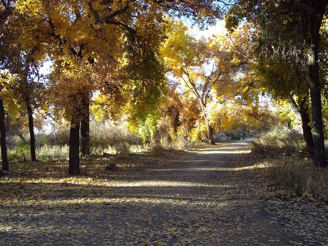 Willow Creek Trail-Rio Rancho必去景点
