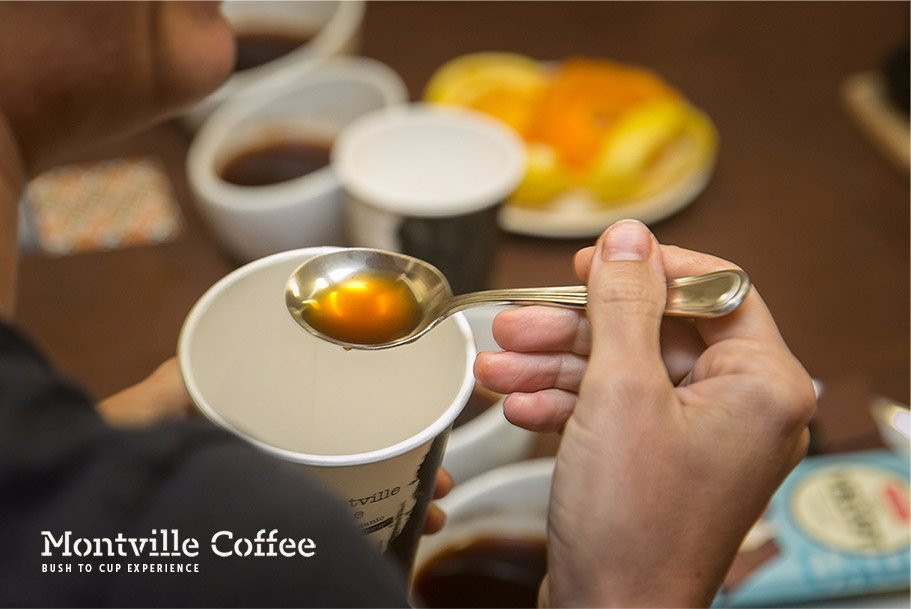 Montville Coffee景点图片