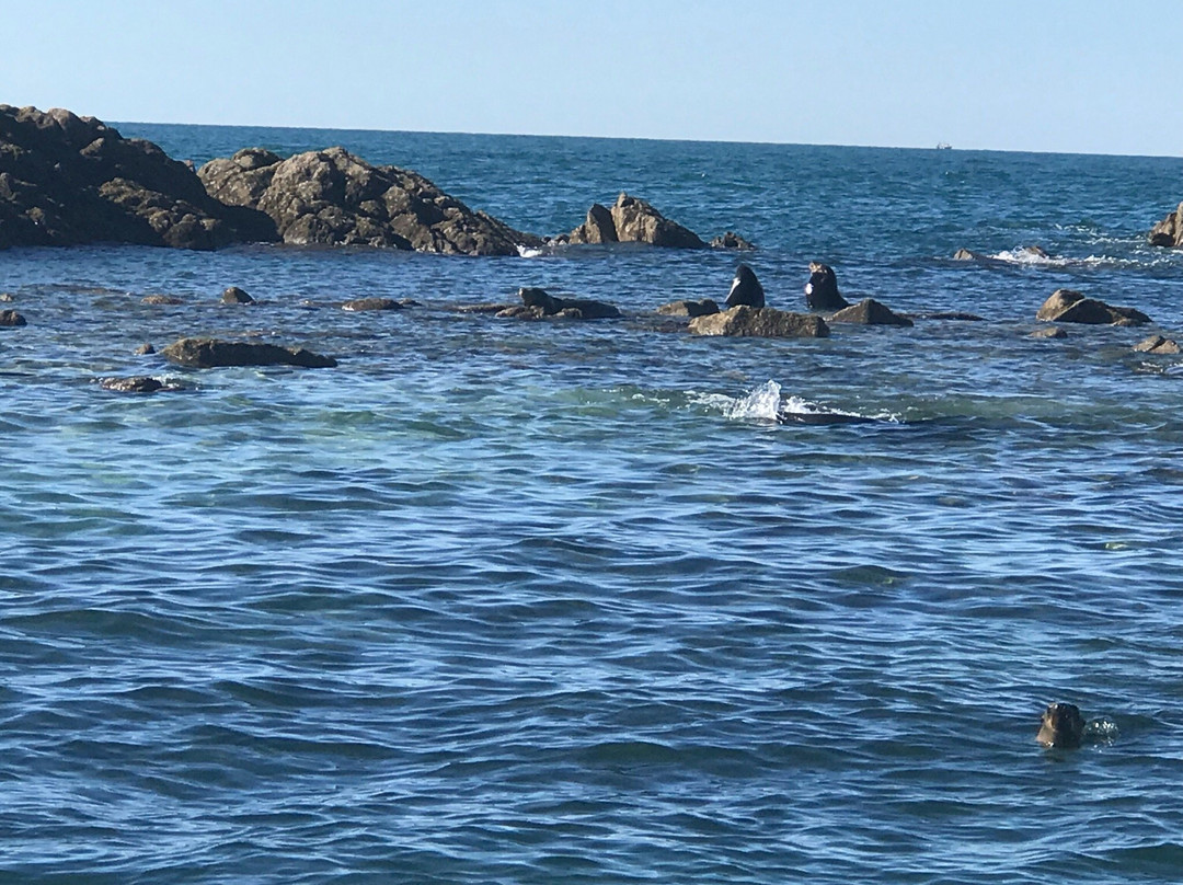 Isla San Jorge-佩纳斯科港必去景点