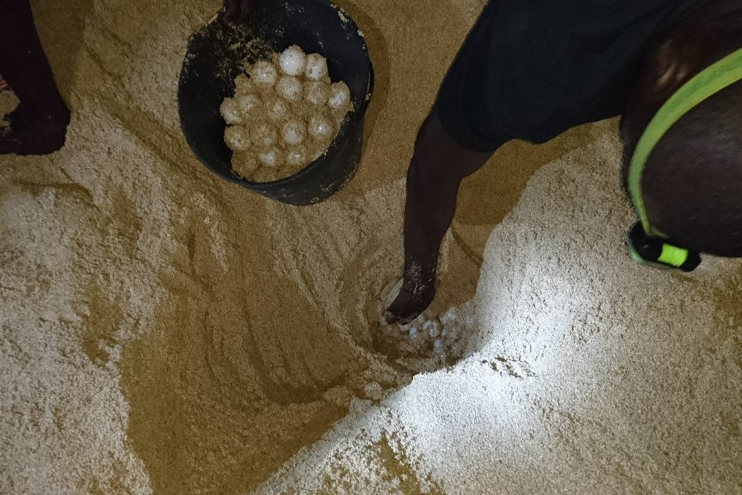 Museu do Mar e da Pesca Artesanal景点图片