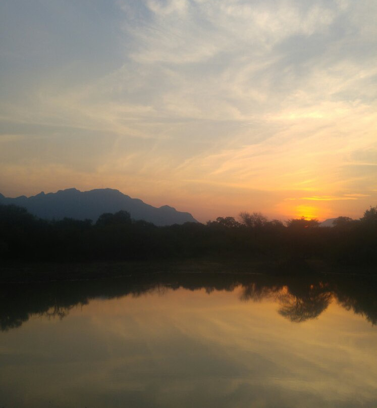 Kaya Imbabala Bush Camp主图