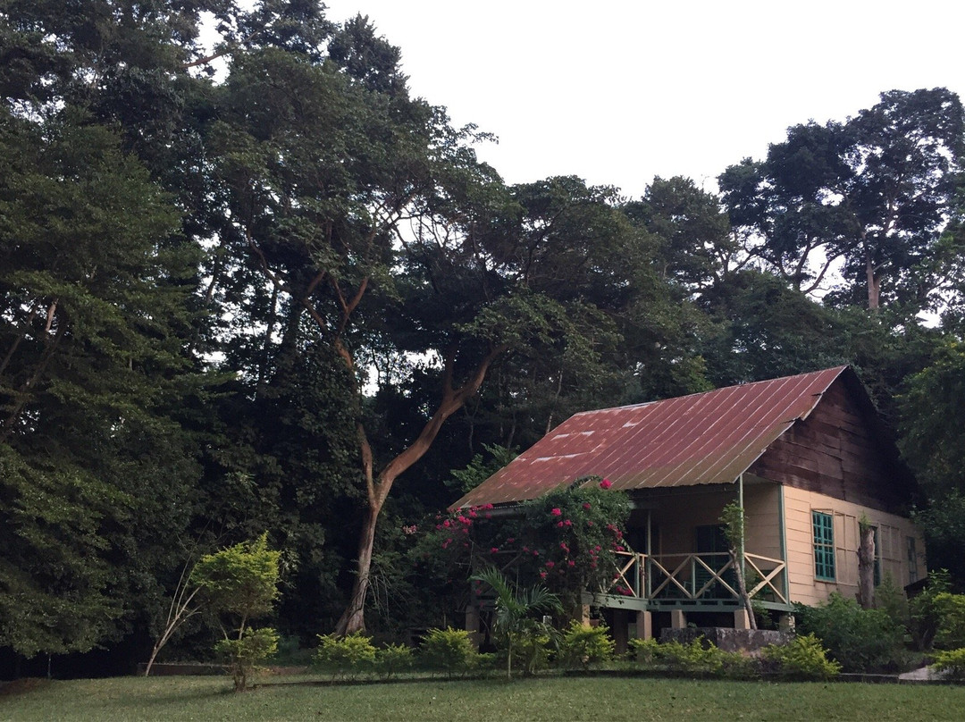 Bobiri Forest Reserve-Ashanti Region必去景点