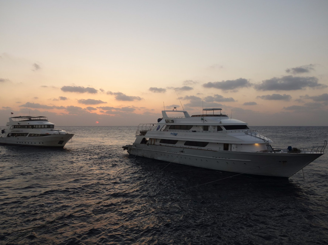 Daedalus Reef Lighthouse-红海和西奈半岛必去景点