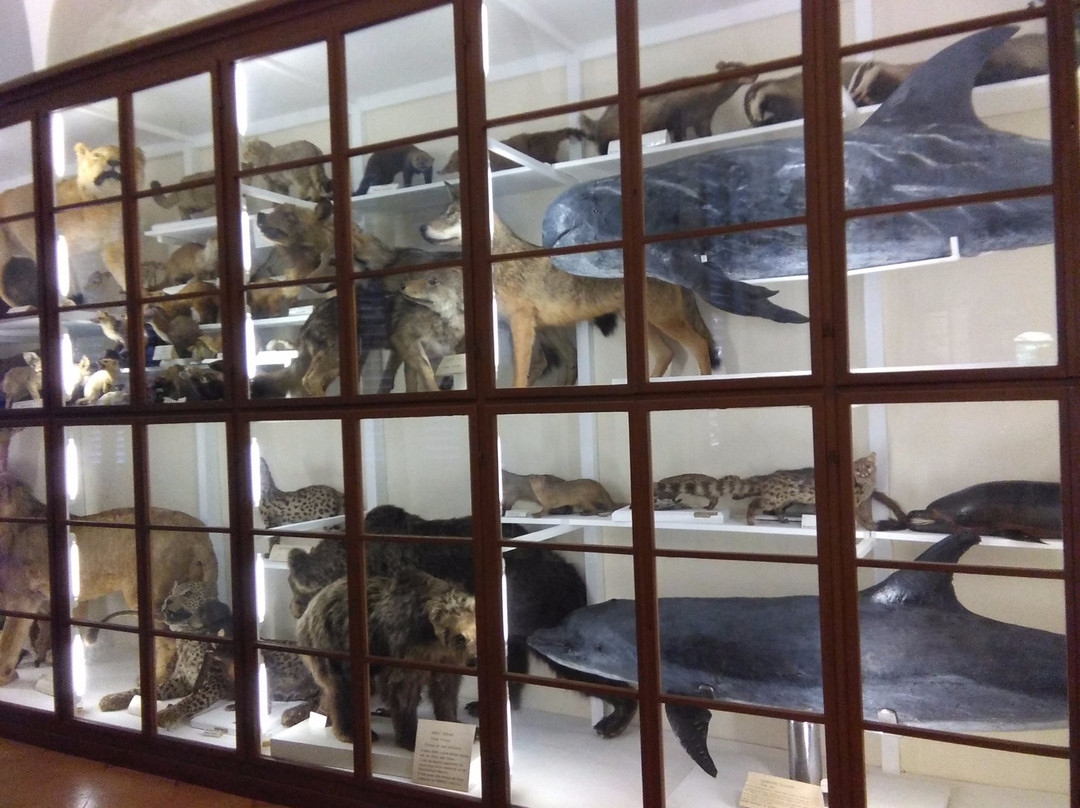 Museo di Storia Naturale dell'Accademia dei Fisiocritici-锡耶纳必去景点