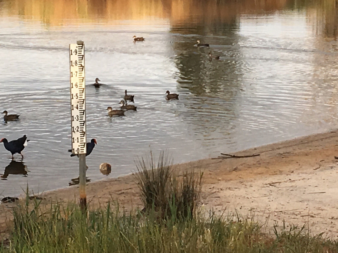 Edithvale-Seaford Wetlands-锡福德必去景点