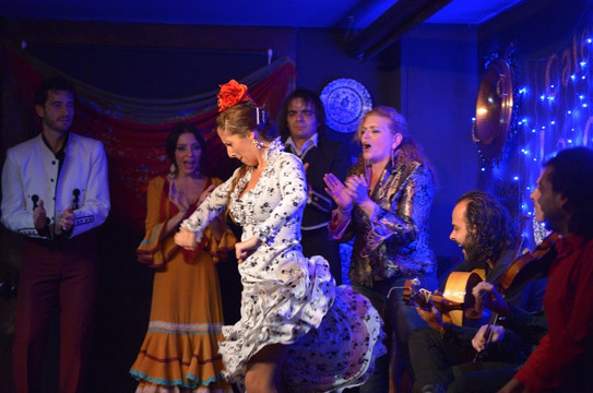 奎美拉佛拉明哥表演