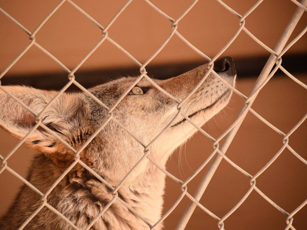 Applegate Park Zoo-默塞德必去景点