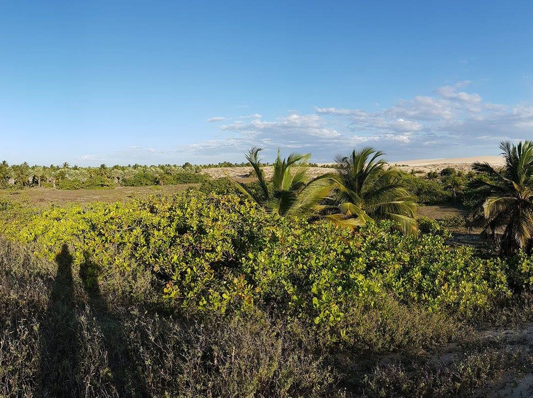 Curima Beach-Barroquinha必去景点