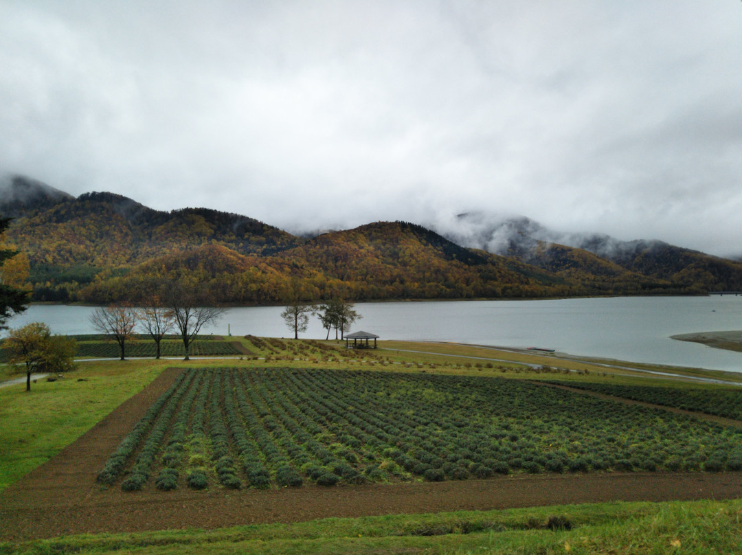 Lake Kanayama-南富良野町必去景点