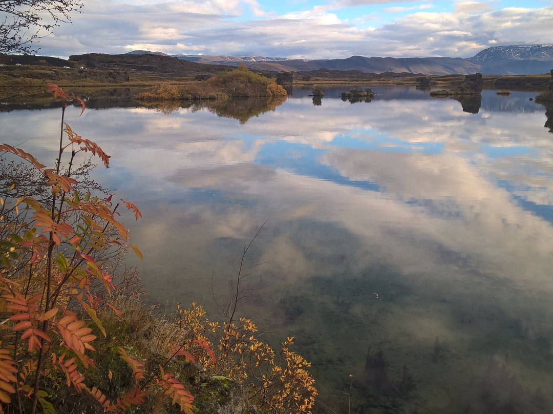 Myvatn Visitor Center-雷克雅里德必去景点