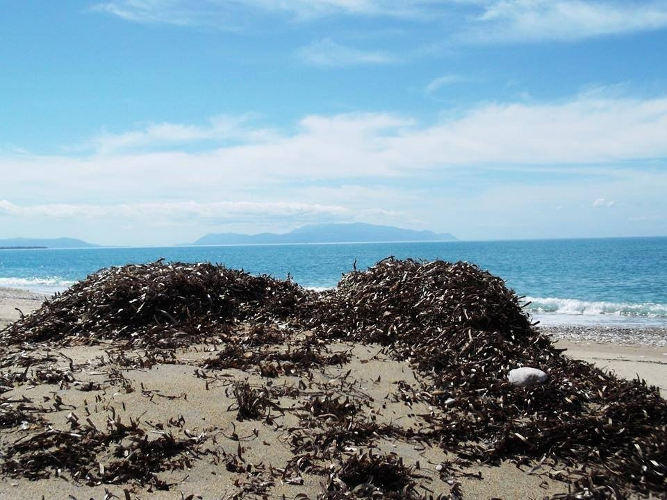 Kastrosykias Beach-Kastrosykia必去景点