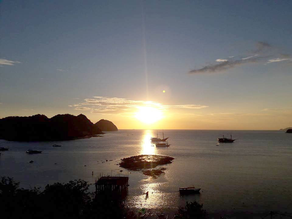 Angel Island (Pulau Bidadari)酒店住宿-蓝鹦鹉酒店