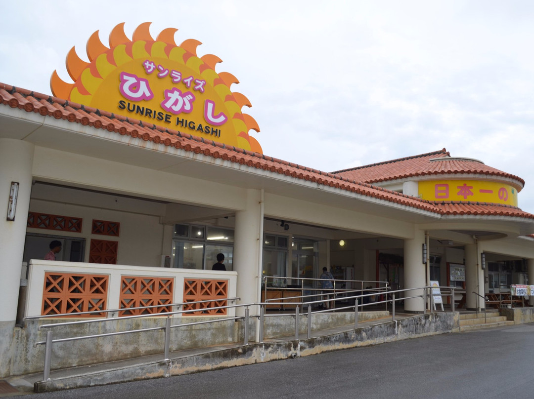 Sunrise Higashi-东村必去景点