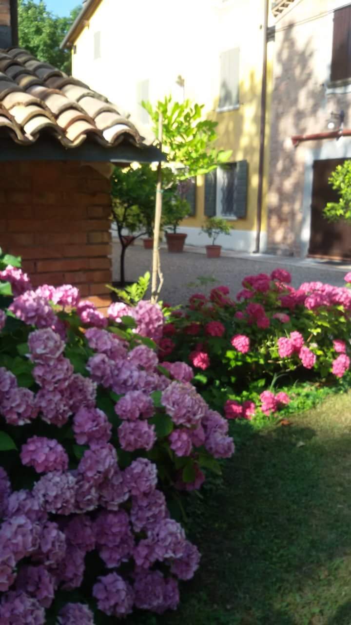 B&B IL Naviglio-酒店景观